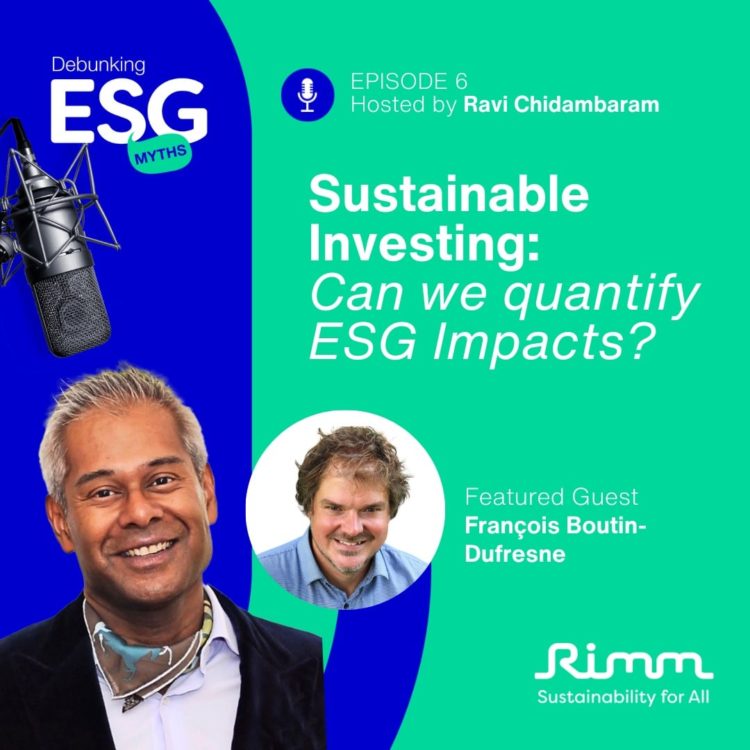 Sustainable Investing: Are ESG impacts on the future quantifiable?