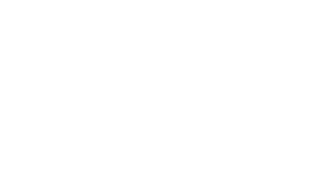 the dream catchers show